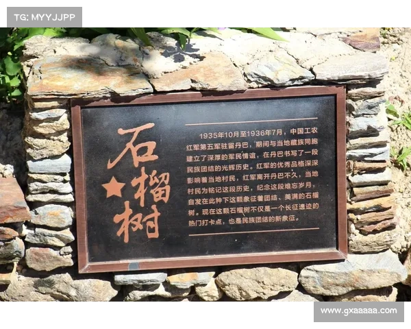 长征攻略,长征路线自驾游攻略：长征烽火：一部战略家必读的攻略秘籍